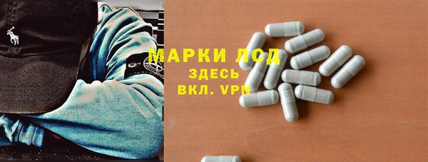 стаф Белоозёрский