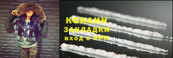 индика Белокуриха