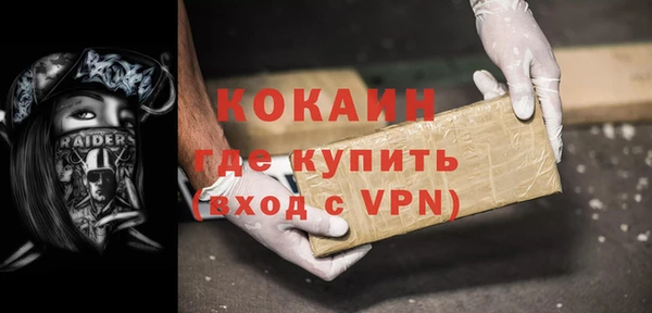 индика Белокуриха