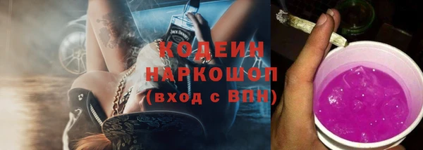индика Белокуриха