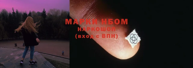 эйфоретик Баксан
