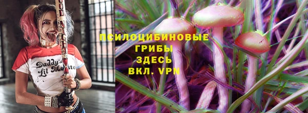 эйфоретик Баксан