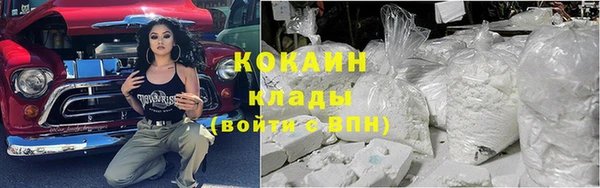 индика Белокуриха
